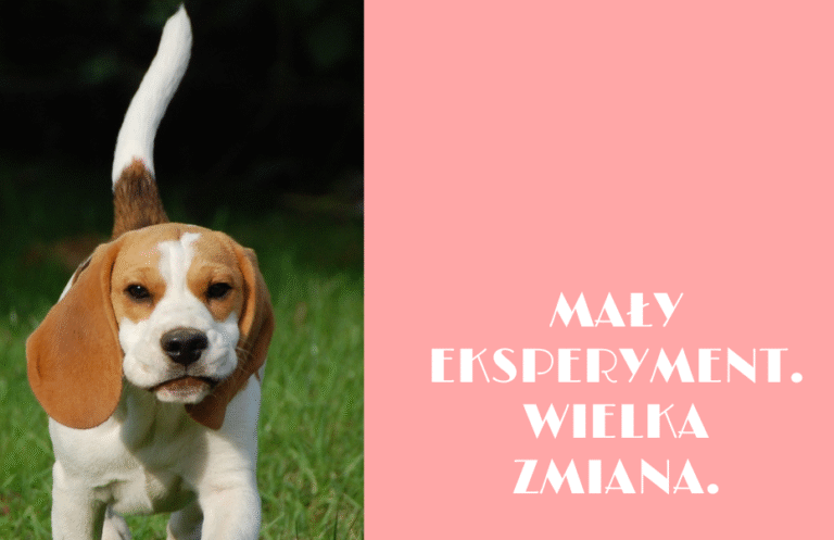 Sprawdź, jak drobna zmiana myślenia może wpłynąć na Twoją pracę i życie