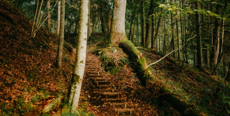 Dlaczego szkolenie, które dało Ci energię… nie zmieniło nic na dłużej?