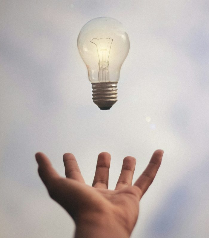 junior-ferreira-7esRPTt38nI-unsplash